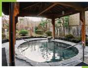 森のなかの温泉 なんぶの湯